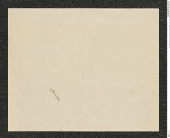 k.k. naturhistorisches Hofmuseum, Intendanzakten 1885-1896 (Hauer), Aktenzahl Z.108/1889, Seite 2